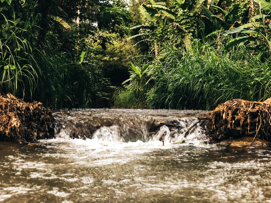 Small waterfall in a northern Thailand jungle surrounded by bamboo and smooth river stones.
